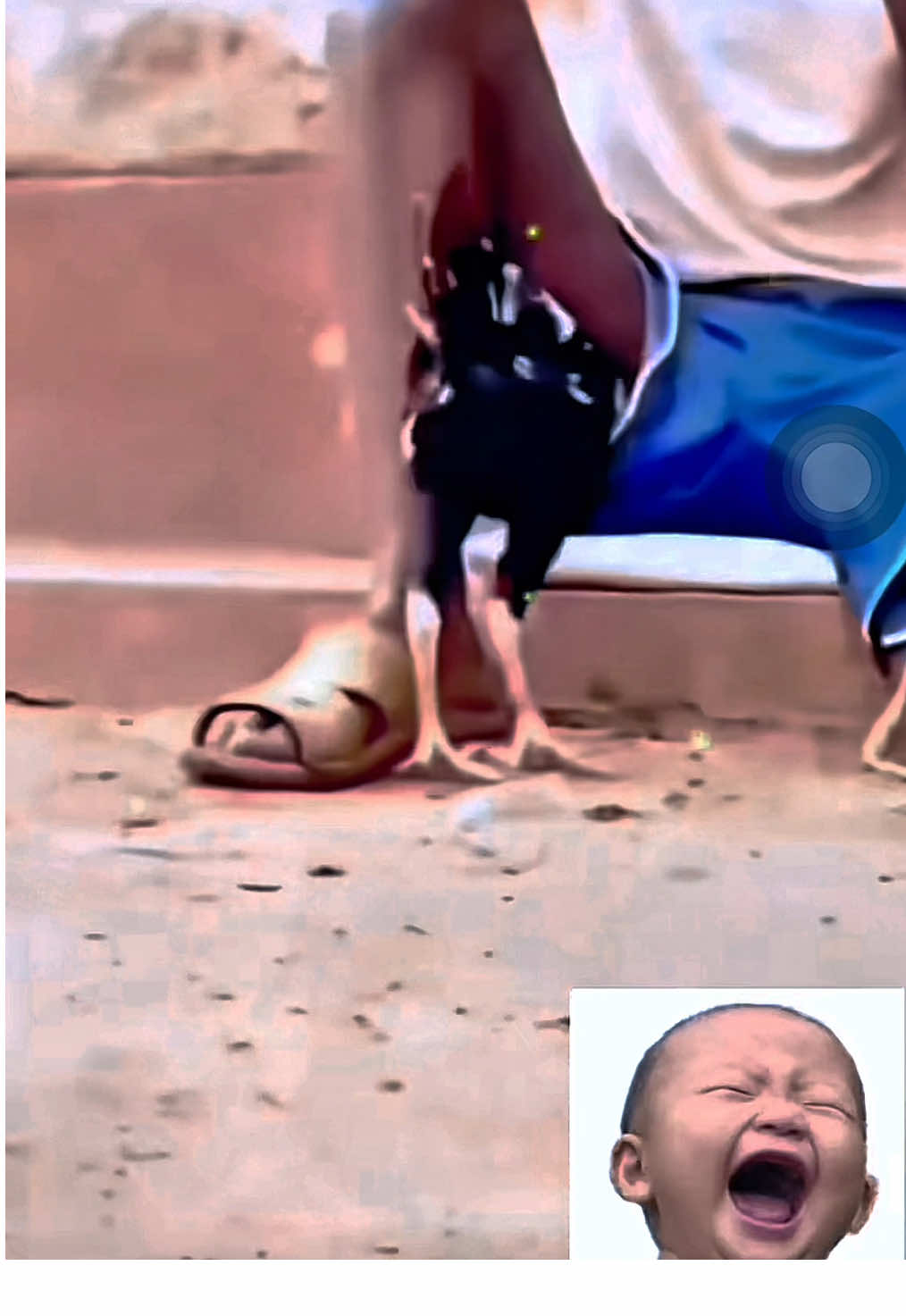 Họa mi ngừng hót #giaitri #videofunny #viraltiktok #trendingtiktok #xuhuong #fyd #hoamingunghot 