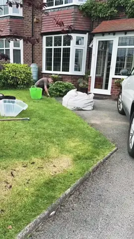 🏡🌳 Le service ultime d'entretien et de nettoyage de pelouse ASMR - Vous rêverez d'un espace propre et confortable !#garden #gardening #cleaning #asmr #fyp 