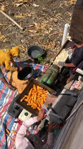 #bugissoppeng #bugissulawesi #bugis #bugistiktok #fyp 