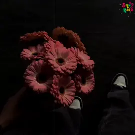 asolei😊💔#islamic_video #fyyyyyyyyyyyyyyyy #tiktokbangladesh #viralvideo #foryoupage 