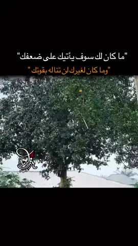 #ما_كان_لك__سيأتيك_رغم_ضعفك #موثر_جدا #اللهم_ارحم_ضعفنا_واجبر_كسرنا 