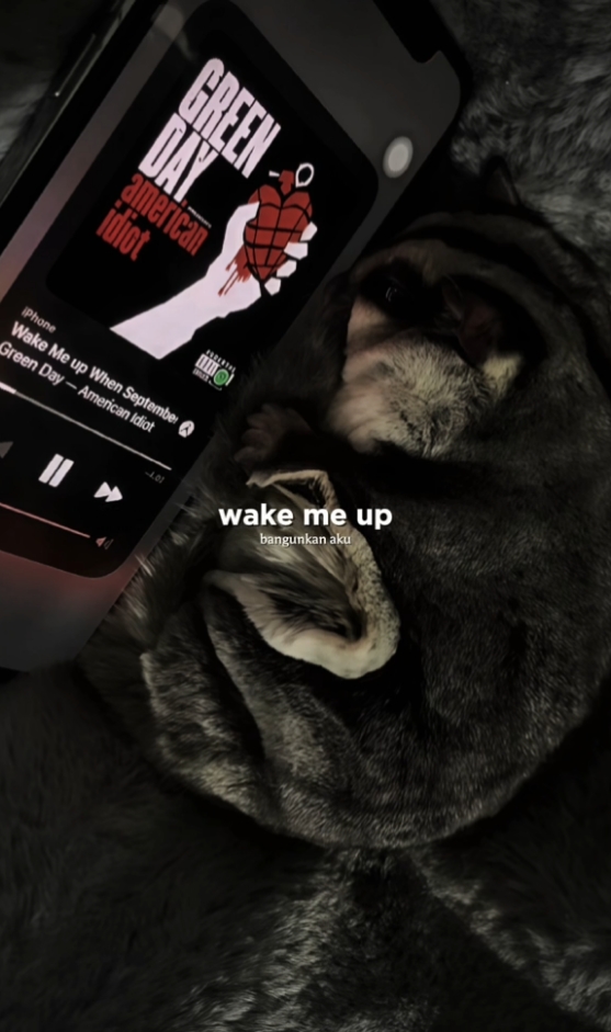 Wake Me up When September Ends Green Day #capcut #foryou #foryoupage #greenday #billiejoearmstrong #wakemeupwhenseptemberends #lyrics #lyricsvideo 