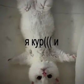 тгк:imloseh #postpunk #soundcloud #врекомендации #volhey #CapCut 