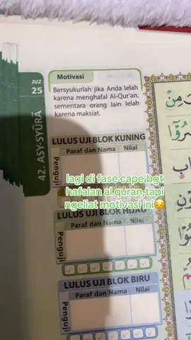 #hafidzahalquran30juzinsyaallah 