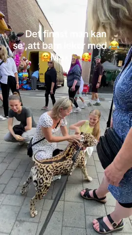 🐆🥰🐆🤗Jag önskar alla som ser mina videos skulle följa mig stor tack 🙏 ❤️