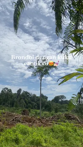 #brondolansawit #viraltiktok #fypシ 