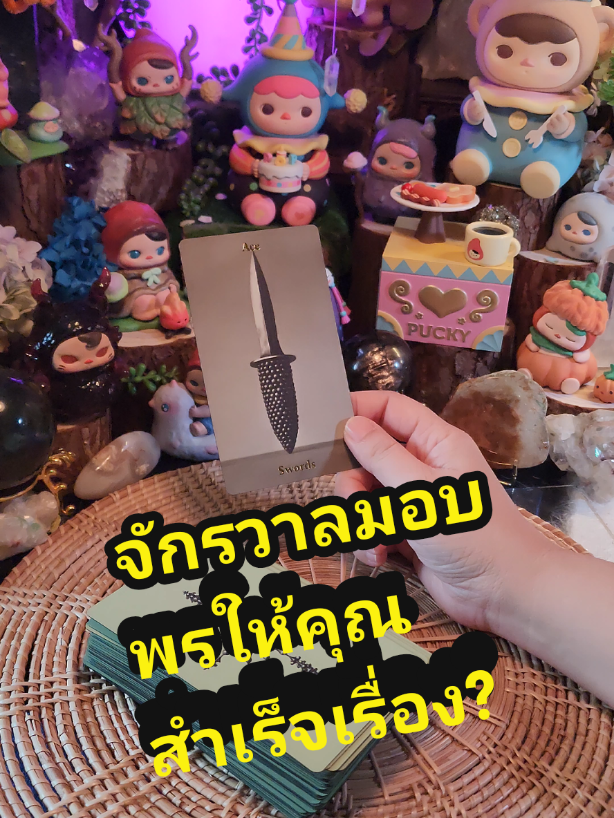 #โสด #สายมู #ดูดวง #ความรัก #แม่หมอปลั๊กกี้ 