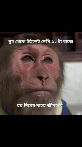 আসলেই 🤦‍♀️