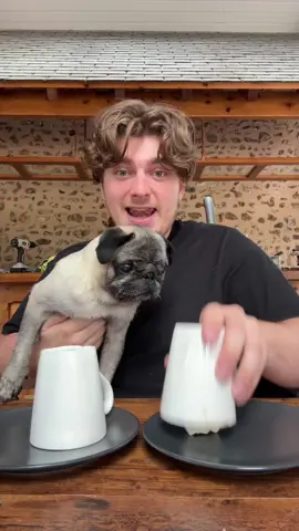 Il est trop impatient 😭