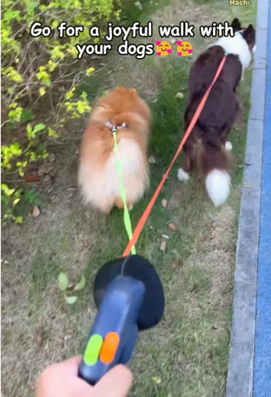 I’m never buying a normal lead again . Link in Bio#dogsoftiktok #petproducts #DogTraining #doglovers#pet