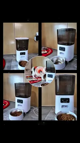 Second kill limited-time snap-up#Coolneo #tiktok #smartpet #Petlovers #Catlife 