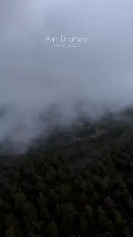 عين دراهم الحب♥️ ♥️♥️🇹🇳 عين دراهم عروس الشمال الغربي عين دراهم المريج و واد الزان فج الأطلال و الحمران جمال الطبيعة و طيبة أهلها  عين دراهم الوديان و شجرة الزان و الفرنان الضباب والثلج و قلولي علاش تحب عين دراهم #Ain_Drahem #camping🏕️ #tunisia🇹🇳 #nature #jendouba 