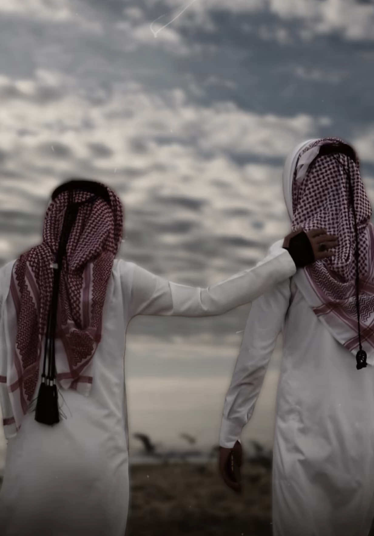 وانا لك ي الرفيق - ابشر ابشر ابشر  #شيلات #طرب #الرفيق #CapCut #اكسبلور 