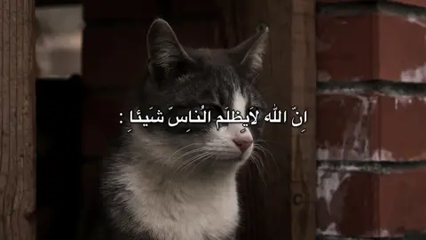 ان الله لايضلم الناس شيئا . . . . #عبد_الباسط_عبد_الصمد #القران 