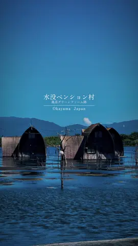 かつてのリゾート地だった鹿忍グリーンファームは廃業してからそのままとなり、今では水が溜まり水没ペンションとして悲しくその姿を残している。                                                                                                                                             ___________________________________                                                                   塩田跡に建設された為、海抜が満潮時より低く定期的に排水ポンプで雨水を排水しなければならない場所。しかし廃業とともに排水ポンプも停止してしまい、現在はこのように水没してしまったと言われています。                                                                           ___________________________________                                                                     #廃墟 #岡山 