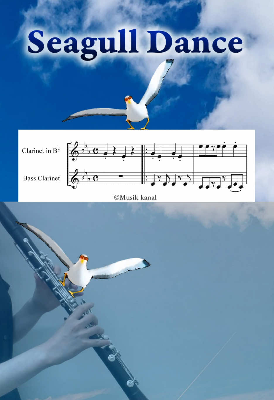 【注意】この曲は中毒性が高いので安易に演奏するのはやめましょう。一生頭から離れなくなります #seagulldance #gmod #clarinet  #クラリネット バスクラリネット 单簧管 カモメミーム ※楽譜転載禁止