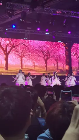 สเตจสุดท้ายของพี่สิตา🩷 #ColorconWink #sitacgm48 #Bnk48 #NipponHaku2025