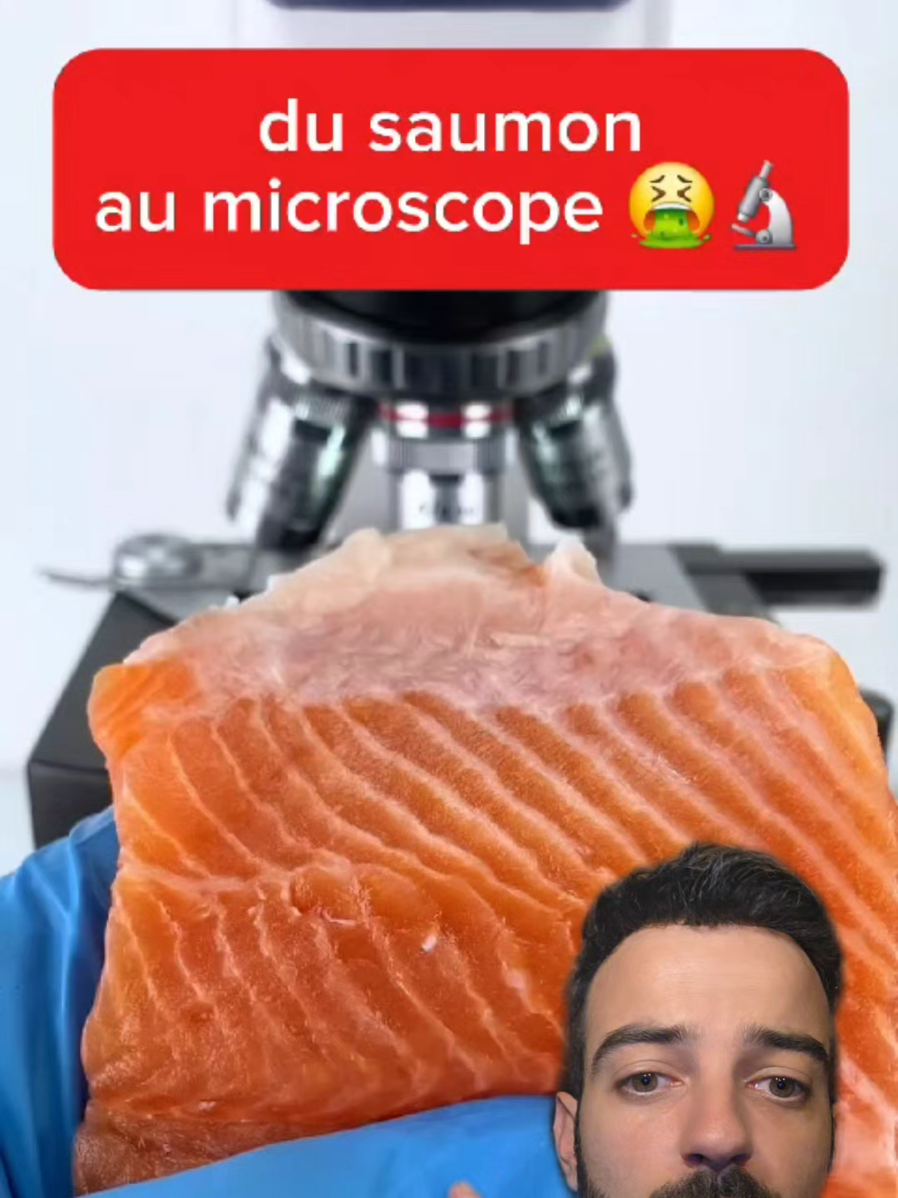 du saumon au microscope 🤮🔬 #microscope #expérience #bactérie #france 