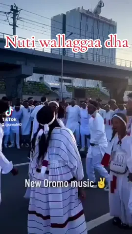 #oromotiktok❤️💚❤️ethiopiantiktok #oromotiktok❤️💚❤️ethiopiantiktok #oromotiktok❤️💚❤️ethiopiantiktok 