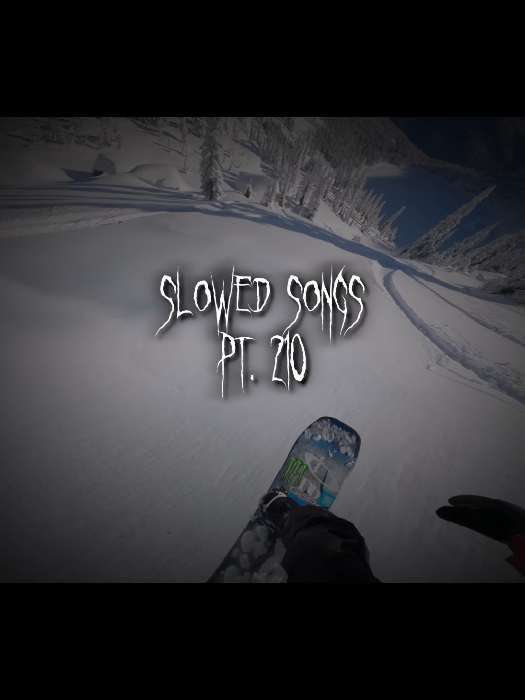 Slowed Songs Pt. 210 | Pitbull Terrier (Slowed) | #slowedsongs #slowedaudios #slowedandreverb #fymusic #song |