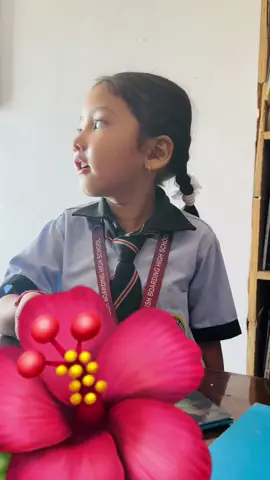 जस्तो सोच राखिन्छ, त्यस्तै संसार 🌸🌵Aava malla #fulkoaakhamafulaisansara❤️😘🙏🏼 #nepalisong 