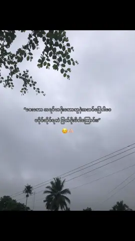 မြတ်နိုးမိပါကြောင်းး😮‍💨🫶🏻#crd ##fyp 