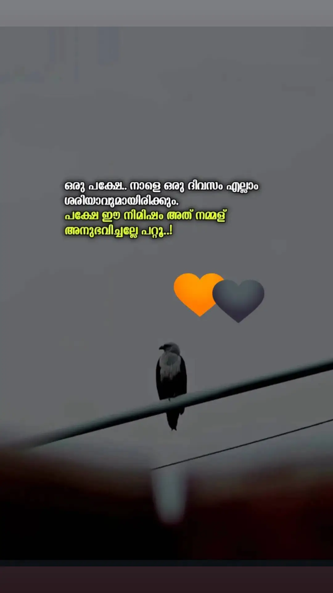 #പട്ടാമ്പിക്കാരൻ 