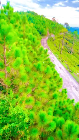 #کونسی_جگہ_ہے_یہ_کمنٹ_میں_بتائیں l#1millionsviews#kashmir #kashmirwithstand   #balochazadkashmir @TiktokPakistanOfficial @TikTok @Ali_Hyderabadi ❤️  @Raees Ali Tarar 🦅 @Areeka @J M 🥀 @Every Anyone 