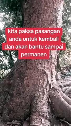 sekali kena gak akan lepas ( PERMANEN ) #mediafoto  #peletsuperextrime  #pelet  #peletextrime  #malaysia 