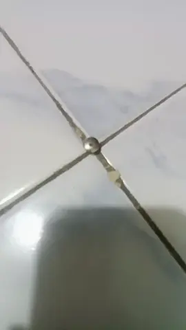 #alaamak #rumahgasing #pemadam#gasing#fyp 