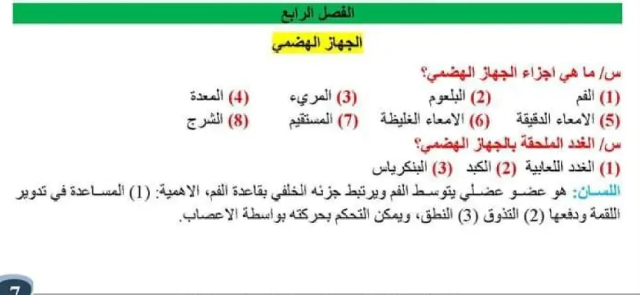 #العراق_بغداد #fyp #ثالثيون #مرشحات_ثالث_متوسط 