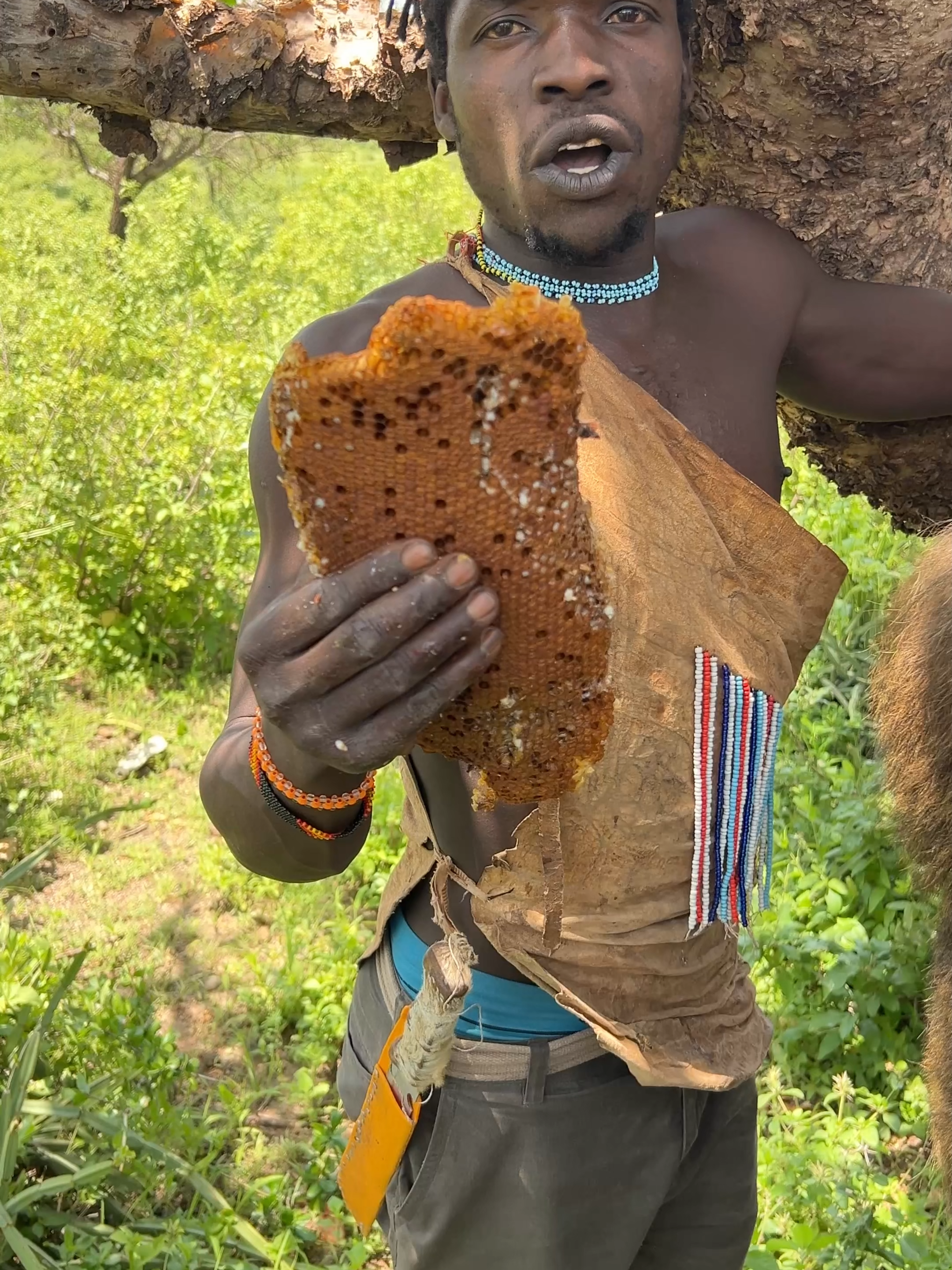 Hadzabe People Collecing Honey  #hadzabe #tribe #africa
