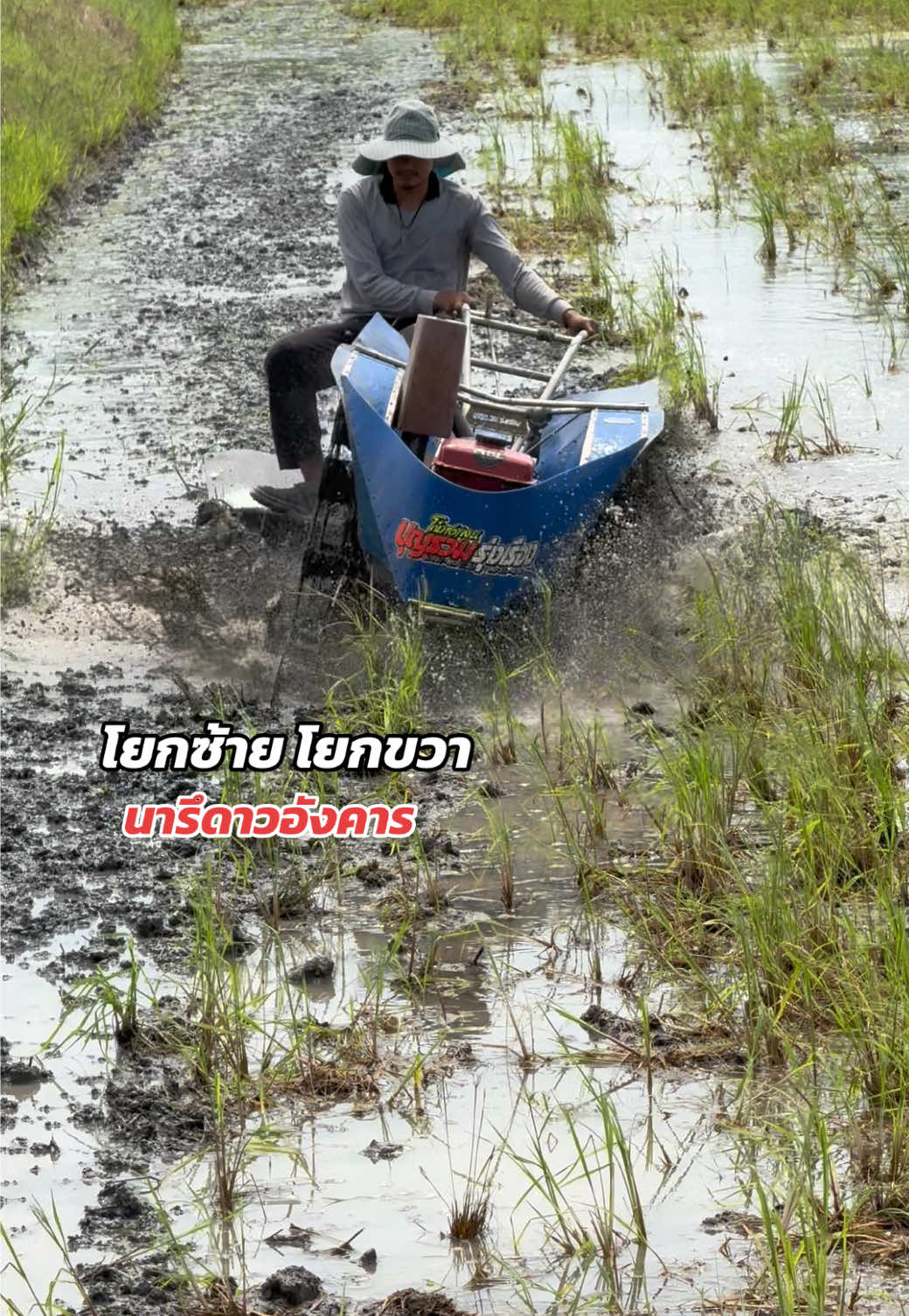 พารา 2 เม็ดอาการจะดีขึ้น 🚀🕹️#ของดีบอกต่อ  #ชาวนา #thailand  #อุปกรณ์การเกษตร 