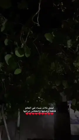 من لايذكر فطومة علاوي يذكرها My mom#fyp #الشعب_الصيني_ماله_حل😂😂 #instagram #tiktok #foryou 
