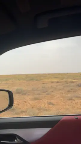 #الدواسر #الشعب_الصيني_ماله_حل😂😂 #لايك__explore___ #لايك_متابعه_اكسبلور #ابل 