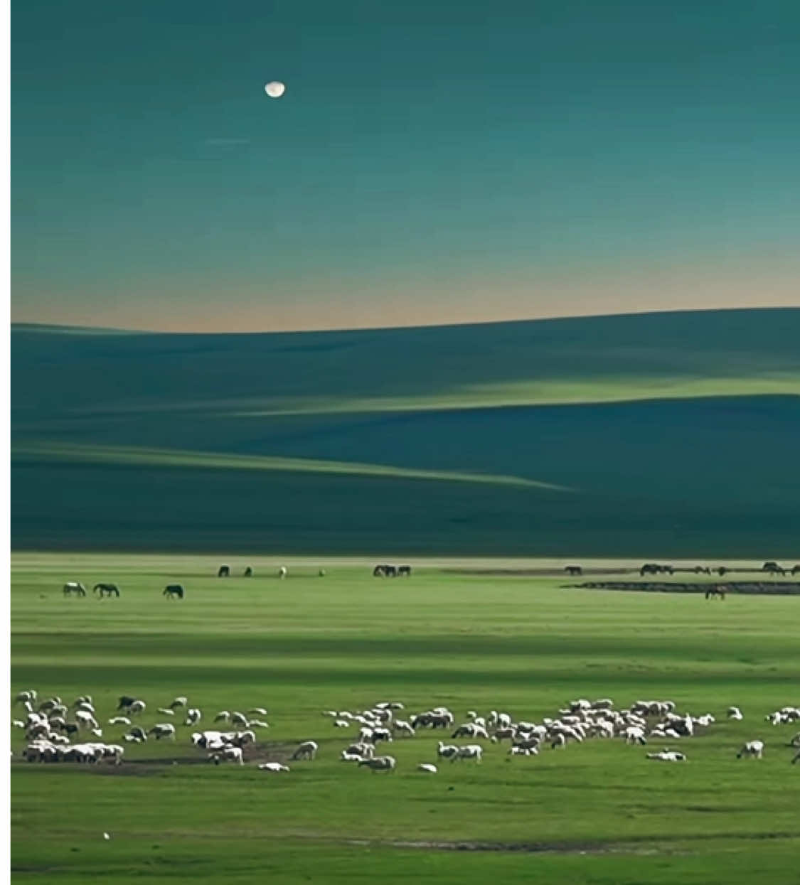 アルテイは綺麗だと思っていたがここに来るまで #癒し動画 #治愈系风景 #scenery 