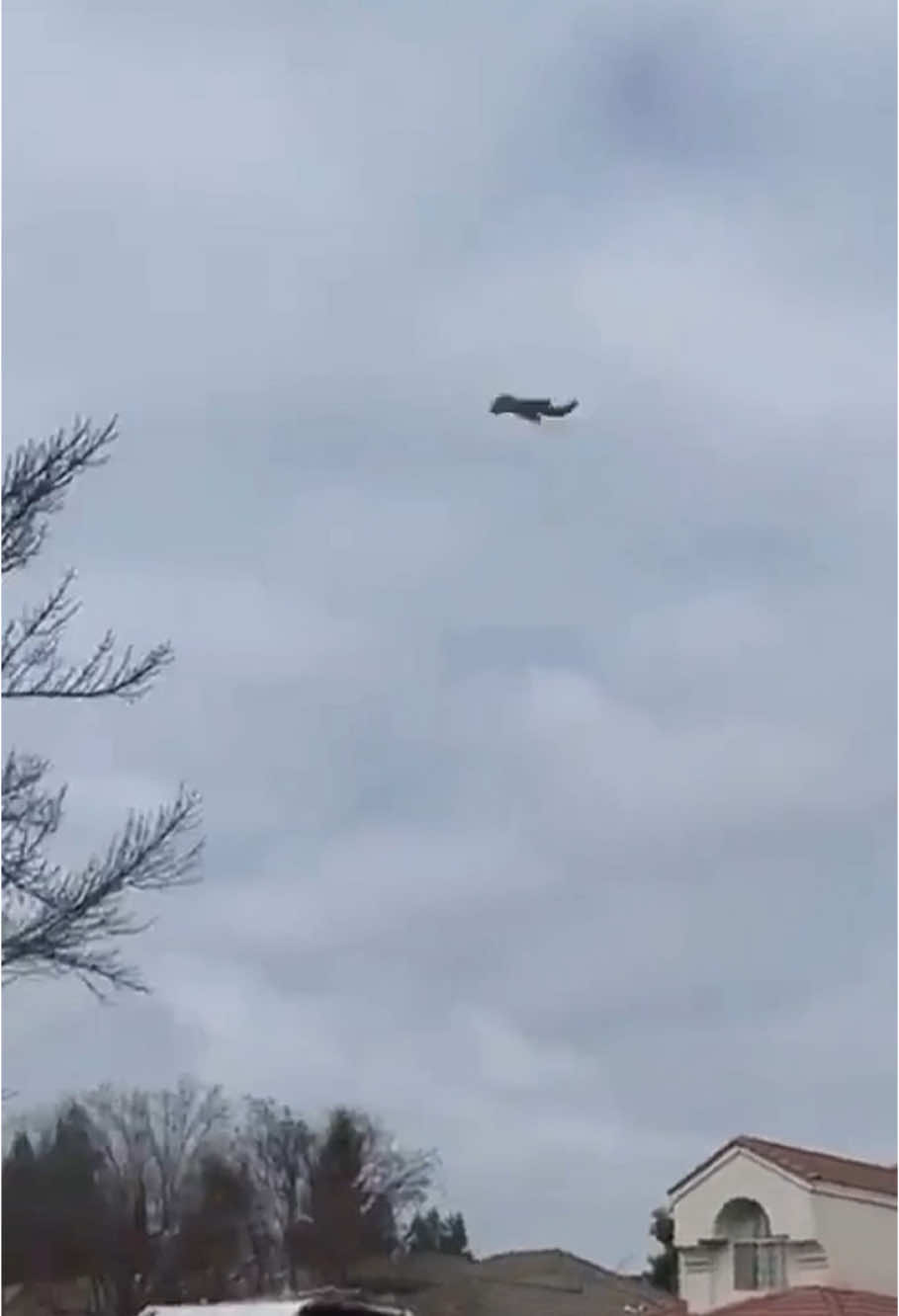 Funny squirrel #squirrel #bird #pet #animals #foryou #funnyvideos 