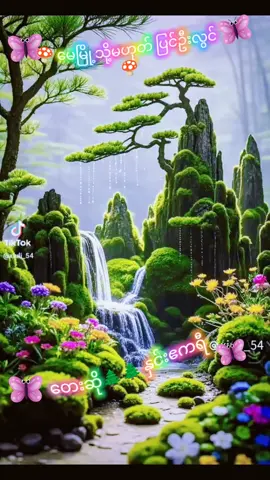 #မြန်မာသံဇဥ်ချစ်မြတ်နိူးသူသို့#အားပေးသူတိုင်းကိုကျေးဇူးတင်လျှက်ပါ 🌲🧡🌲🧡🌲🧡🌲🧡🌲