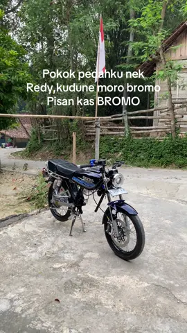 Inpo wo #xybc #gl #gl100 