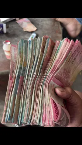 #information #lampungpride #lampung 