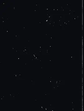 #tiktok #foryou #Gangster #standwithkashmir #viralvideo @🍁🍁Zihuuuu🍁🍁 