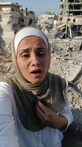 #creatorsearchinsights 