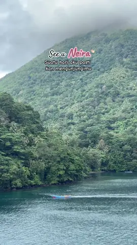 Wait for me🥹🫶🏻 #bandaneira #opentripbandaneira #pinktourandtravel #tripbandaneira #trending 