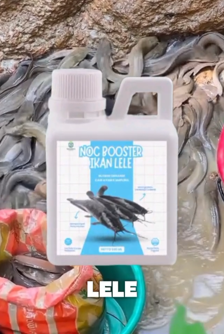 vitamin ikan lele #ikanlele #peternaklele #budidaya #lele 