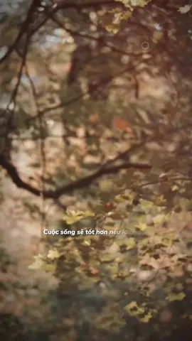 PHỤ NỮ NGOÀI 30 Không còn là hoa, mà là rễ. Không còn cần nở rộ cho ai xem, mà cần vững vàng giữa gió bão cuộc đời. Vẻ đẹp của 1 người là sự mạnh mẽ sau đổ vỡ, là lòng dũng cảm khi dám lựa chọn chính mình. Càng trưởng thành mình càng nhận ra một điều: Xấu hay đẹp không quan trọng nữa. Tử tế mới là quan trọng nhất. Quen được một người tử tế hạnh phúc gấp vạn lần quen một người có nhan sắc. Con người lúc đẹp nhất... không phải khi họ đang sống trong hạnh phúc, đủ đầy và được yêu thương. Cũng không phải lúc họ cố gồng mình để chịu đựng, cam chịu, hay chấp nhận ở lại bên một người không còn xứng đáng, chỉ vì sợ mất. Vẻ đẹp thật sự không nằm ở bề ngoài hay những khoảnh khắc bình yên nhất. Nó bừng lên trong chính những giai đoạn xám xịt và tưởng chừng yếu đuối nhất.