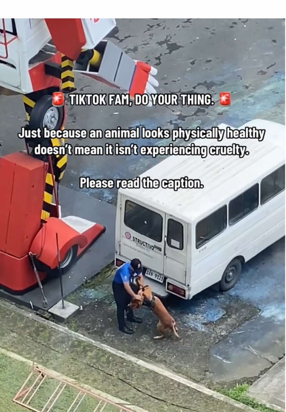 Sumilip lang talaga ako sa bintana to check if uulan ba… Napatingin ako sa baba and saw this dog and his shitty handler. Nung una natutuwa pa ko kasi akala ko naglalaro sila. After ilang seconds lang!!!!!!! I realized hindi pala laro. Kinuha ko agad phone ko para makapag-video at maipakita pag sumugod ako. Kasi alam kong susugod ako. At ginawa ko.  Tinry ko pa sumigaw to stop yung handler pero malayo masyado (nasa kabilang tower kami, tapos mataas na floor pa) and di ko mai-todo yung sigaw kasi nasa office ako. After recording the video, tumakbo na agad ako sa Meralco. Kaso di ako pwedeng pumasok. So I asked the guard kanino pwede ireport. Tinawag nila yung handler na nasa video at gusto nilang pakinggan ko. Pero ayoko marinig explanation niya. I don’t know. Ang nasa isip ko lang nun, habang nanginginig ako sa galit, what’s done is done, and it was clearly wrong.  Obvious naman, na gusto lang nung handler na bitawan nung K9 dog yung ball. Pero para ganyanin niya?  WAT DA FAK KA!!!!! STOP ANIMAL CRUELTY!!!!!  Edit: Also, I confirmed na Daniola name niyan. Nung tinawag siya nung guard para “magpaliwanag”.  #fyp #foryou #foryoupage #animalcruelty 