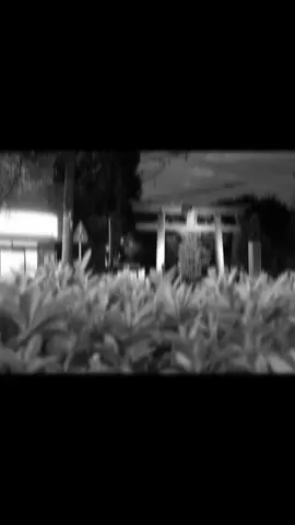 #outdoor#photoshoot #tokyo#nightview#downtown