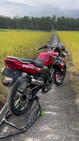 🥰 #ninjass #fypシ゚ #manismanjagank 