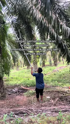 Ingat terus orang yang pernah membantumu😇😌#fyp #fypシ゚ #fypage #fypシ゚viral #fouryou #fypdongggggggg #sawit #petanimudasukses 