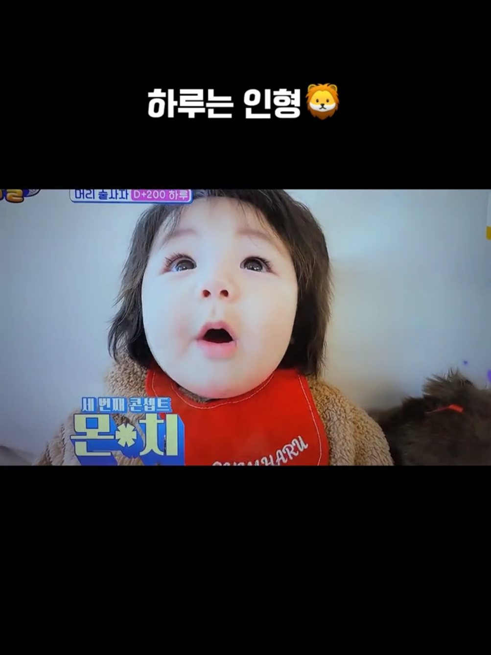 머리숱 부자 하루🩷 #심하루#슈돌하루#머리숱부자_심하루